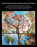 7artisans 6mm f/2 manual fisheye lens for APS-C mirrorless camera - Fujifilm X Sony E OM-D Nikon Z Canon RF